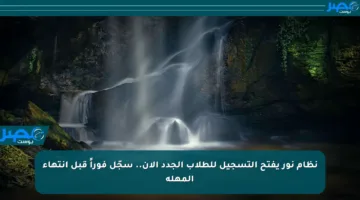 نظام نور يفتح التسجيل للطلاب الجدد الآن.. سجّل فوراً قبل انتهاء المهلة